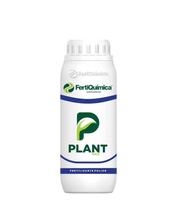 PLANT RAIZ