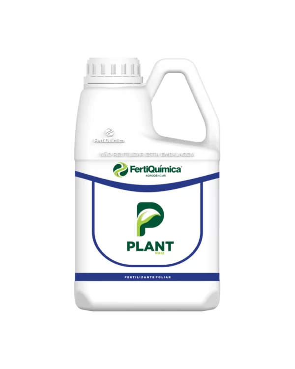 PLANT RAIZ - Image 2